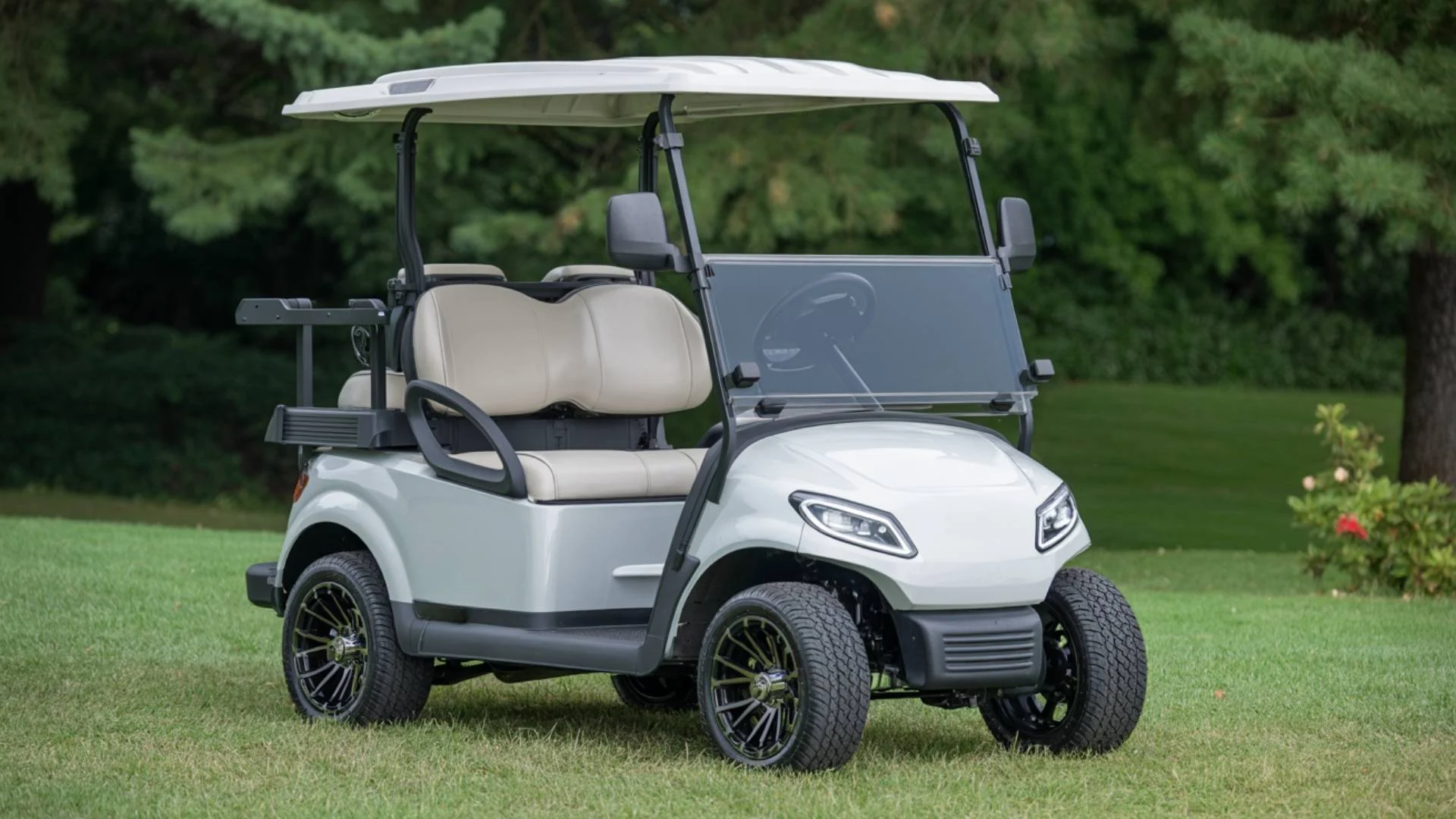 4 Seater Electric Golf Cart Rental in Economy PA