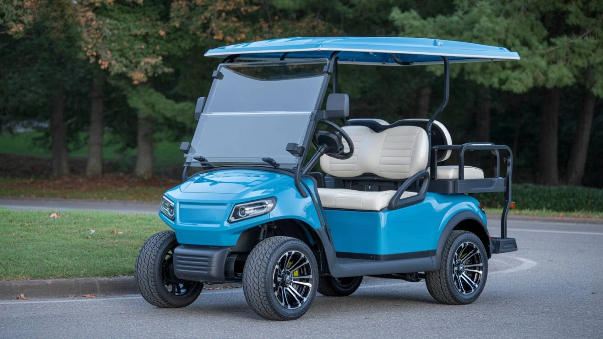 4 Seater Street Legal Electric Golf Cart Rental in Cassandra PA