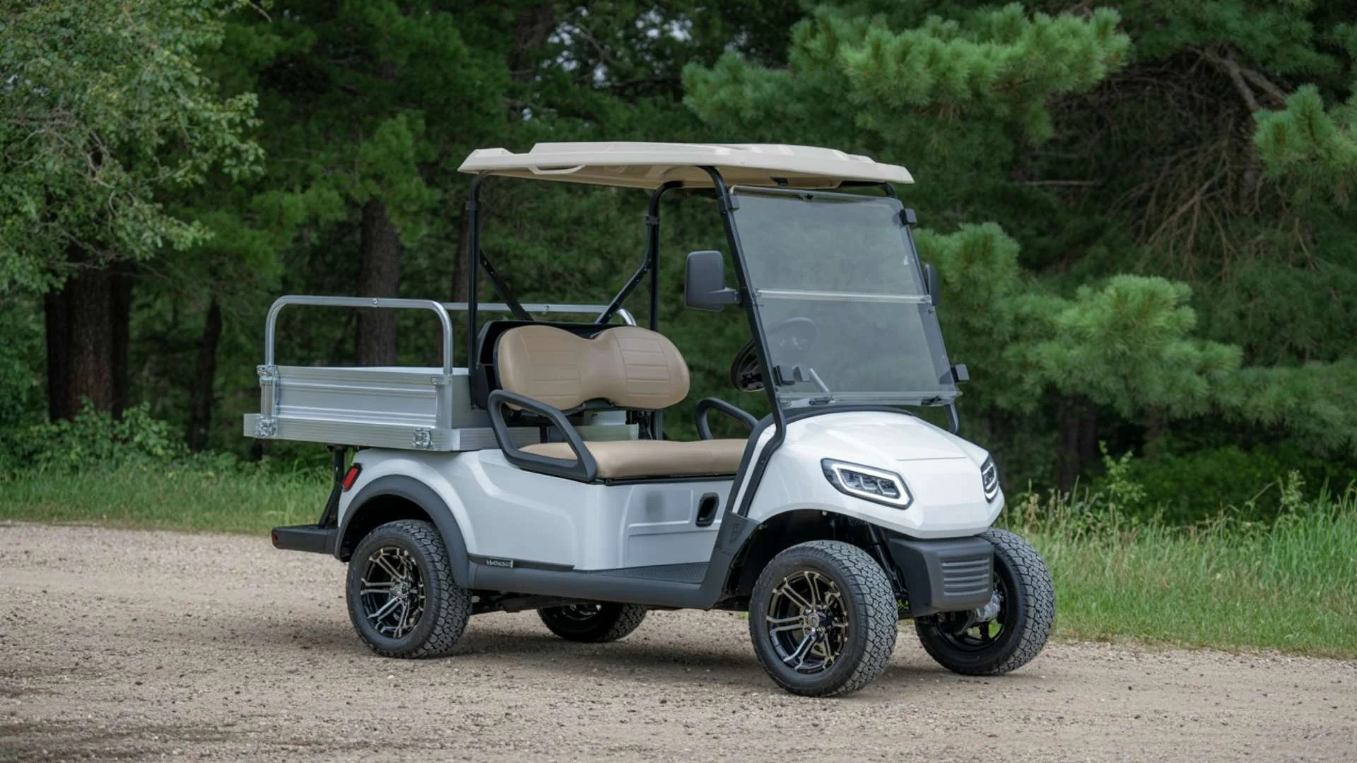 Utility 2 Seater Street Legal Electric Golf Cart Rental in Matamoras PA